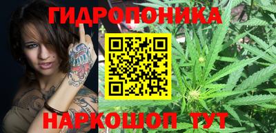 ПСИЛОЦИБИНОВЫЕ ГРИБЫ Кулебаки