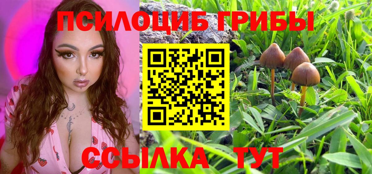 Кисловодск  Псилоцибиновые грибы Cubensis  Вход с VPN  Псилоцибиновые грибы ЛСД 
