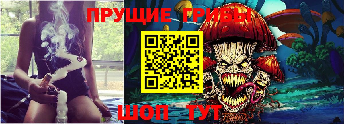 Галлюциногенные грибы мухоморы Кисловодск