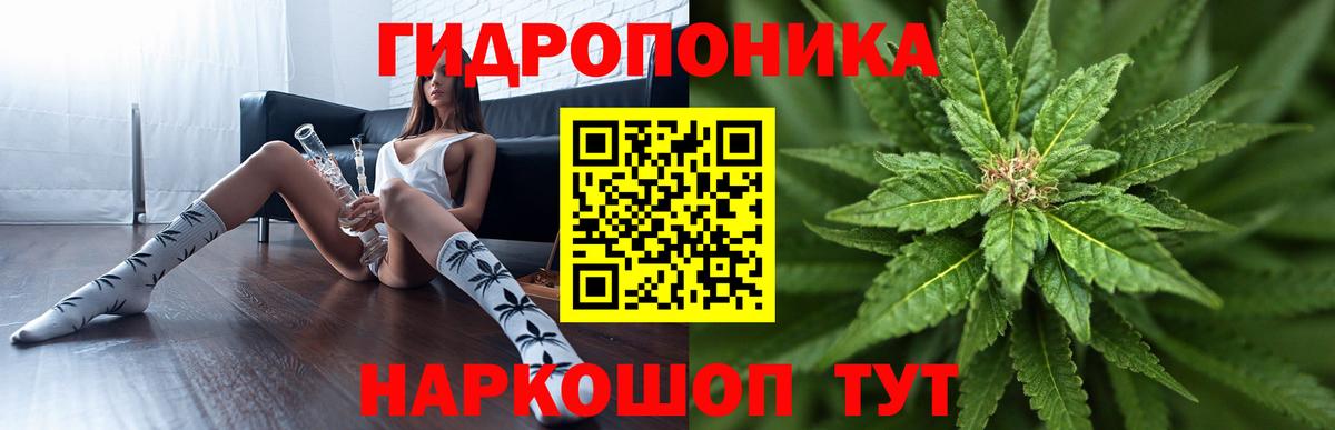 Каннабис семена Кисловодск